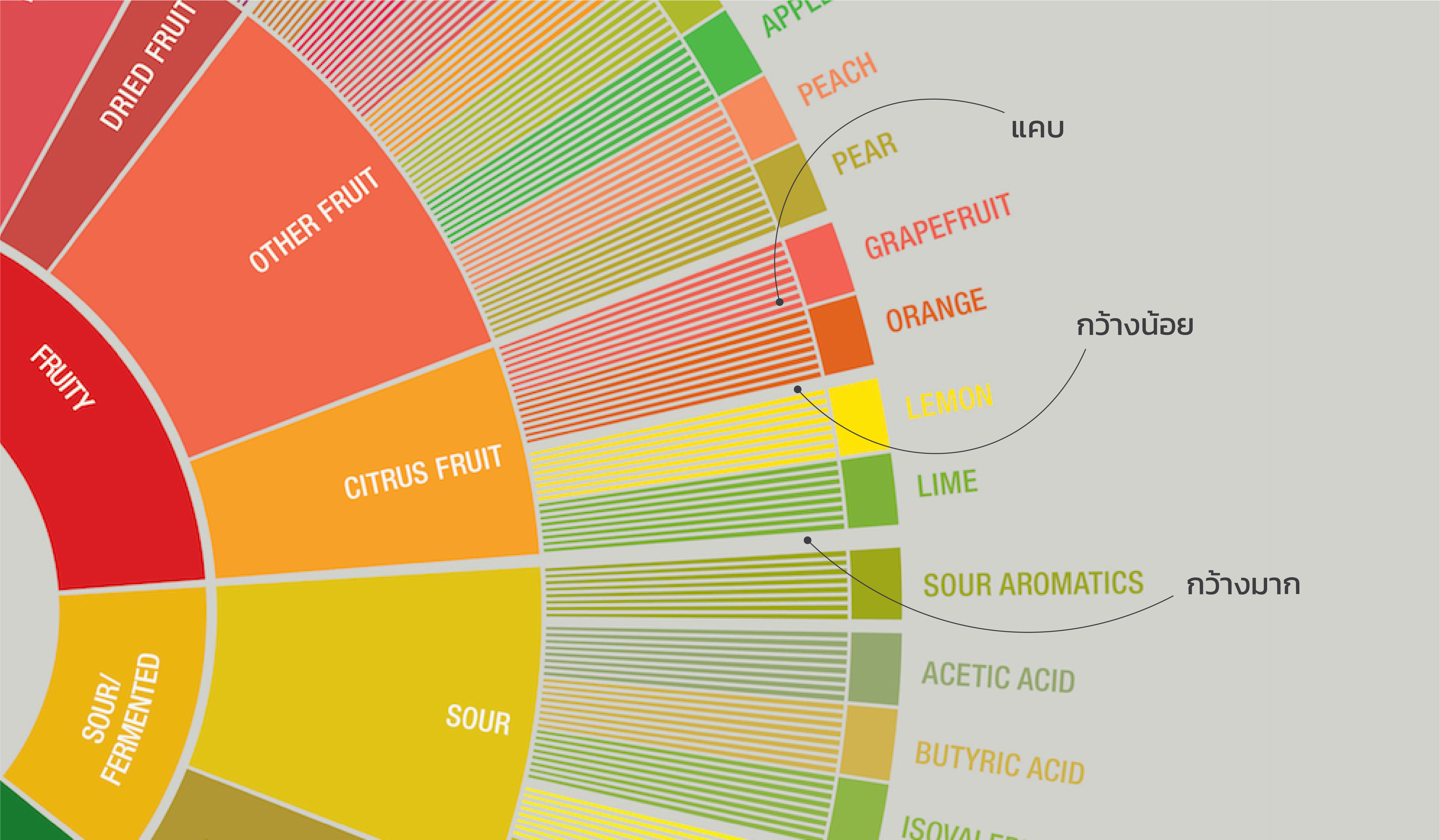 วิธีการใช้ The Coffee Taster