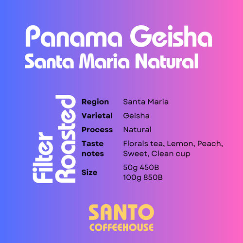 Panama Geisha Santa Maria Natural - Exclusive