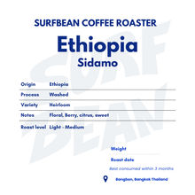 Ethiopia sidamo washed