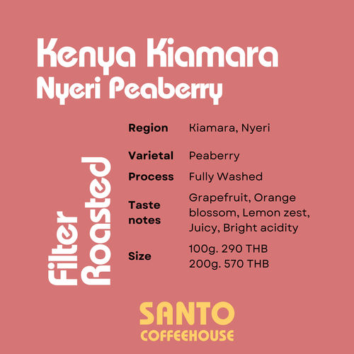 Kenya Kiama Nyeri Peaberry - Filter