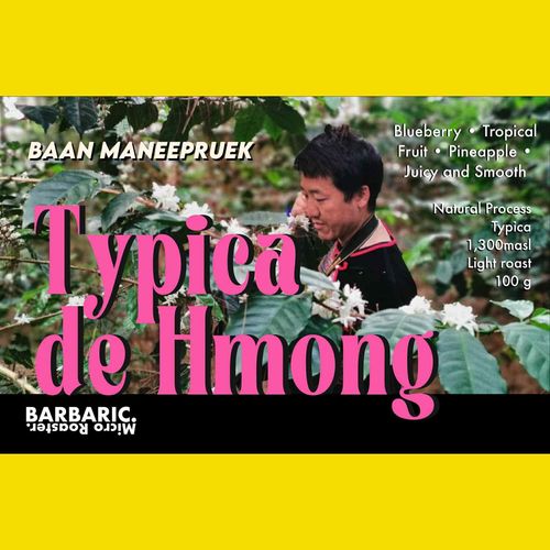 TYPICA natural coffee de mhong 