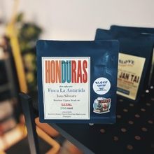 HONDURAS FincaLa Antartida