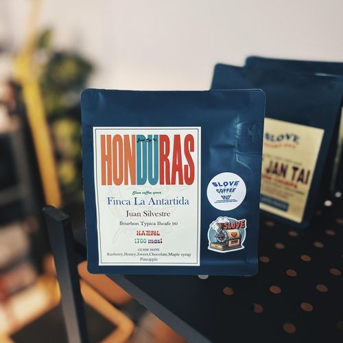 HONDURAS FincaLa Antartida