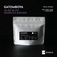 Gatomboya AB 2025 New Crop, Washed, Kenya