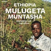 Ethiopia Bursa 2,630 MASL Natural