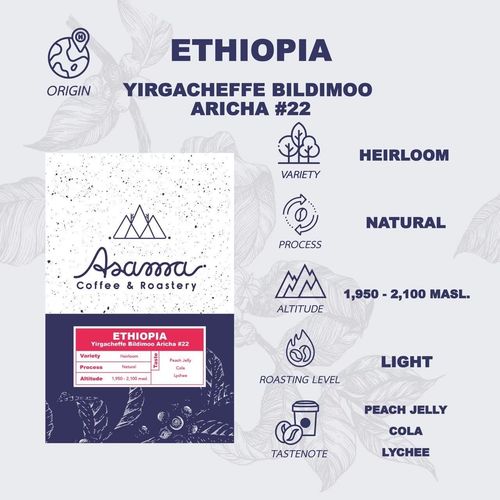 Ethiopia Yirgacheffe Bildimoo Aricha #22