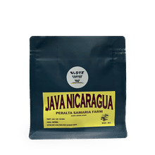 JAVA-Nicaragua 