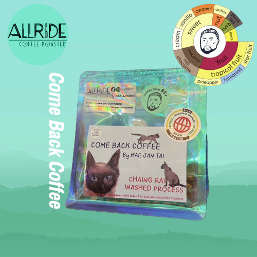 เมล็ดกาแฟคั่ว COE Come Back Coffee by แม่จันใต้ ขนาด100กรัม คั่วอ่อน | ALLRIDE - coffee roaster
