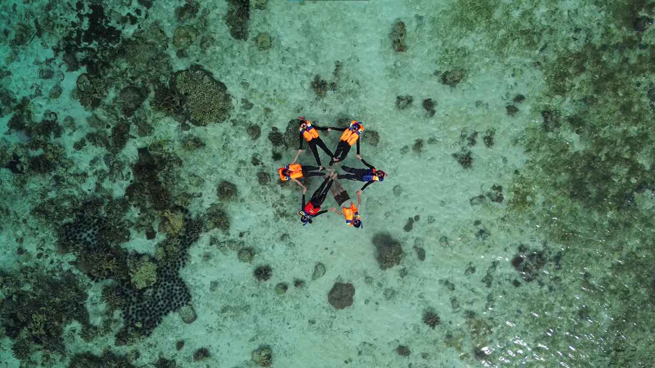 Formasi Bintang Snorkling