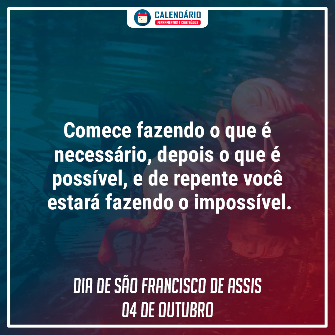 frases dia de são francisco frase dia de são francisco