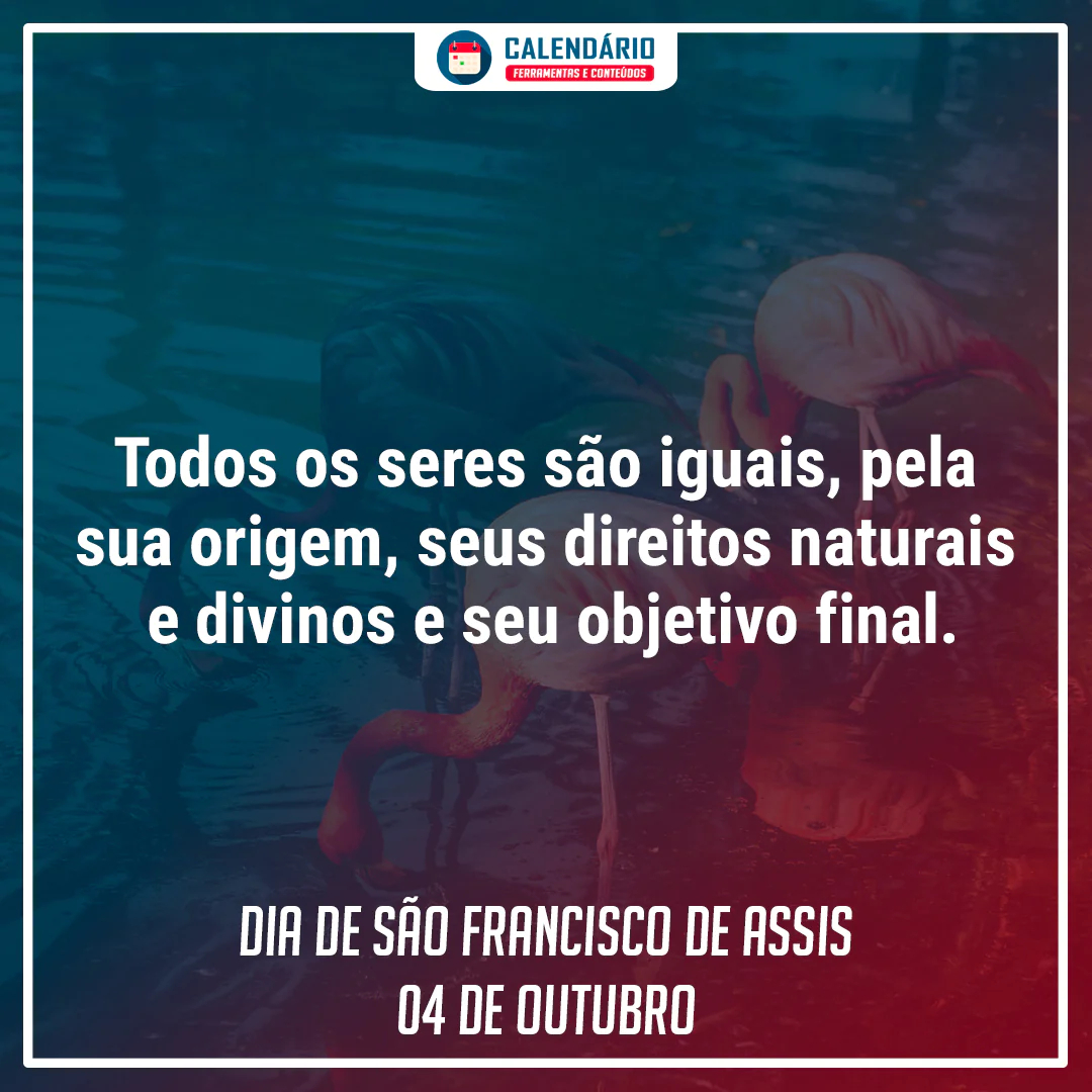 frases dia de são francisco frase dia de são francisco