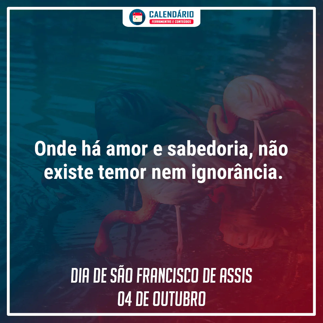 frases dia de são francisco frase dia de são francisco