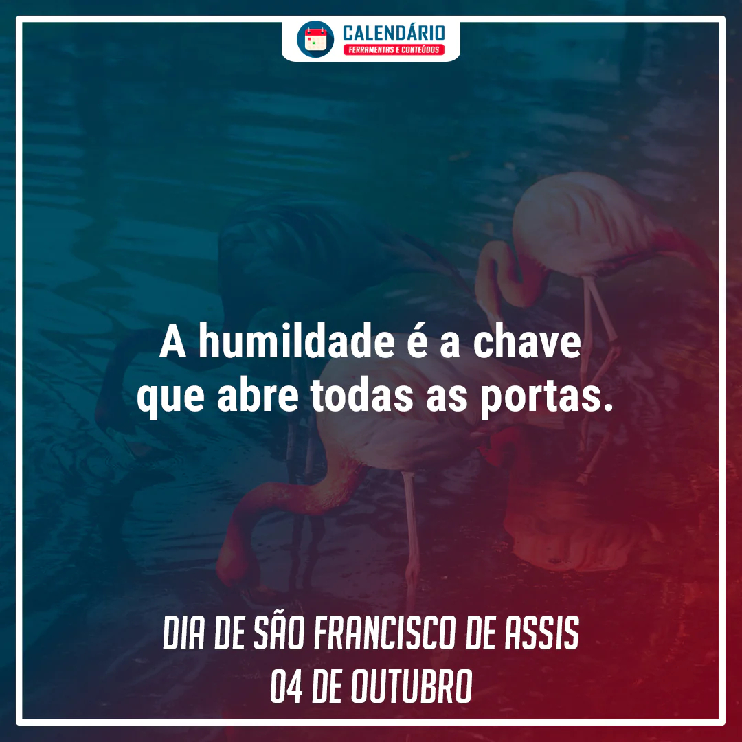 frases dia de são francisco frase dia de são francisco