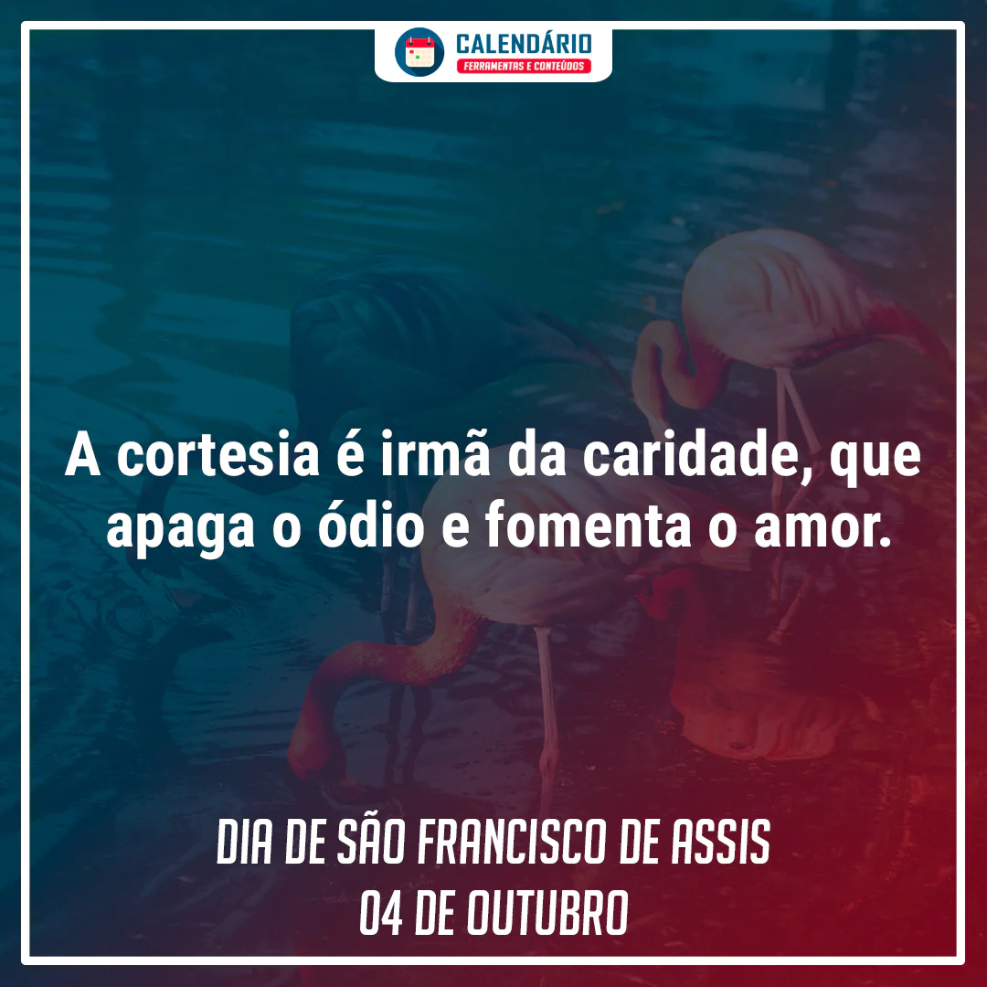 frases dia de são francisco frase dia de são francisco