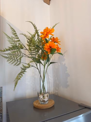 Villa Barbosa — foto 6