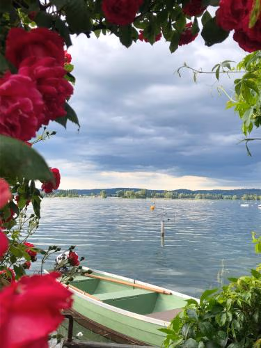 Idyllische Ferienwohnung am See — foto 4