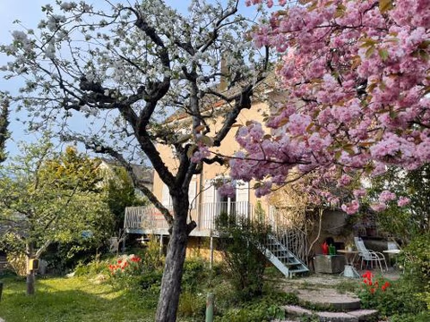 au jardin — foto 1
