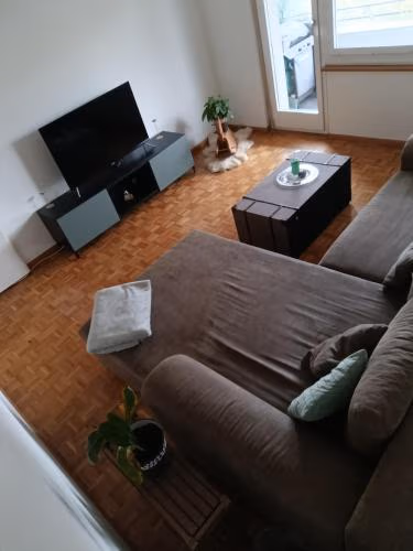 ESC Basel Furnished Apartment — foto 1