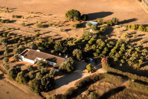 Casa Bungavilia - Roots of Alentejo — foto 3