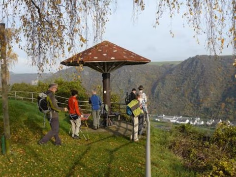 Holzfeld — photo 4