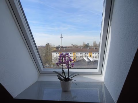 Haus Aja Textor-Goethe — photo 6