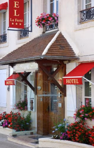 Hôtel De La Ferté — foto 1