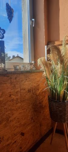 Gaststätte und Pension Zur Schiene — foto 3