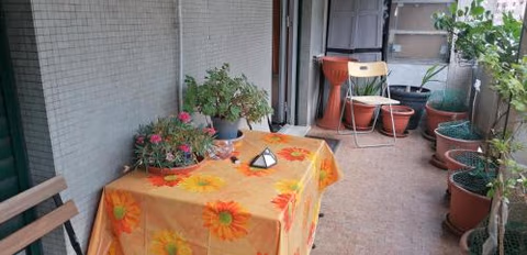 Céline — photo 9