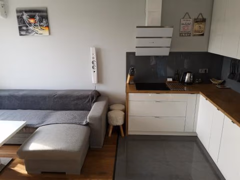 Apartament SIECHNICE — foto 8