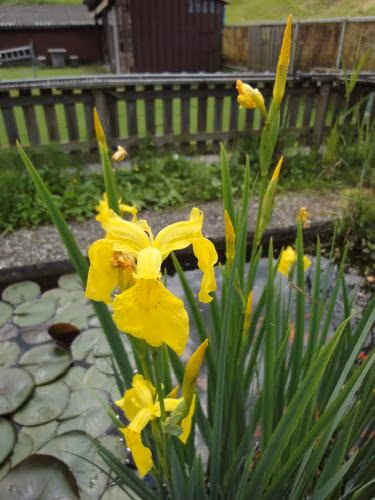 Ferienwohnung mit Herz — foto 9
