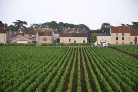Hôtel Les Deux Chèvres Gevrey-Chambertin — foto 2