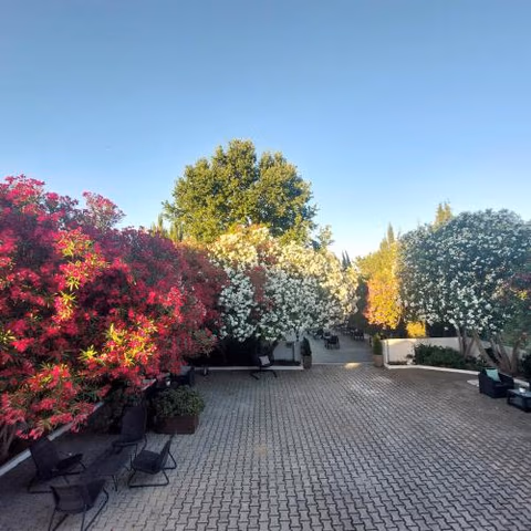 Manta Guest — foto 3