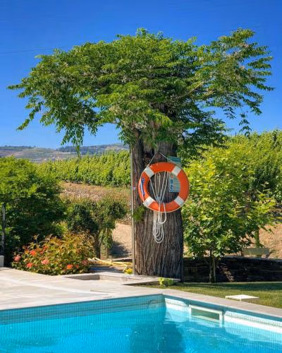 Quinta da Salada - Turismo Rural — foto 7