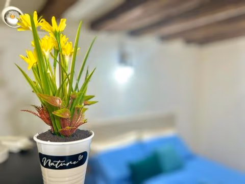 RESIDENCE ZAR - 2 — foto 5