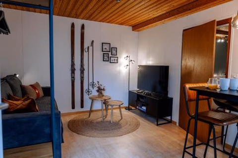 AlpinRetro-Apartment I Stylisch & zentral I See & Berge I Luzern I Zürich I Stoos I Rigi — foto 3