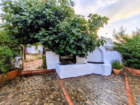 El Corral de la Higuera — foto 1