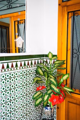 Casa Arcadia Centro de Andalucía — photo 9