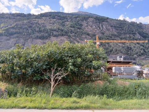 Hotel Garni — foto 3