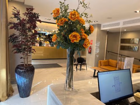 Hotel Avenida Gran Vía — foto 8