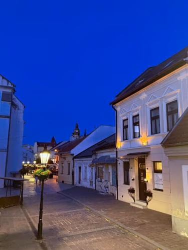 Hotel Zlaté Košice — photo 2