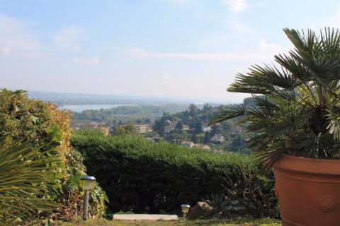 Wine Passion Panoramic — foto 9