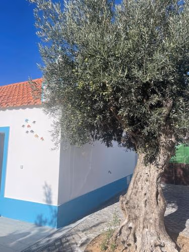 Quinta das Andorinhas Alentejo countryside and beach — foto 8