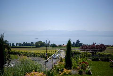 La Clef D'Or Auberge Communale — foto 8