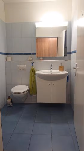 Privatzimmer 300m zur S-Bahn Jona — foto 7