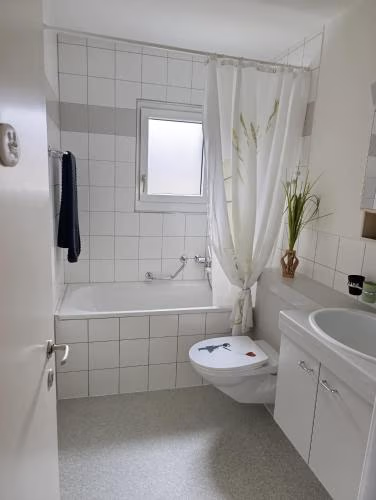 ESC Basel Furnished Apartment — foto 4