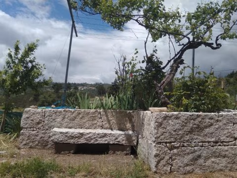 Turismo Rural Macieira Brava — photo 7