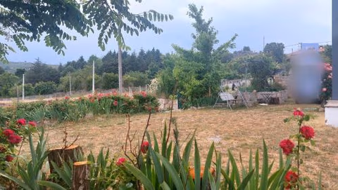 Turismo Rural Macieira Brava — photo 2