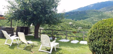 La Casa Vecchia — photo 5