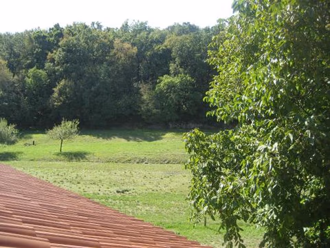 Agriturismo Radovic — foto 6