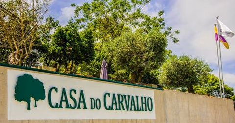 Casa do Carvalho - Ponte de Lima — photo 2